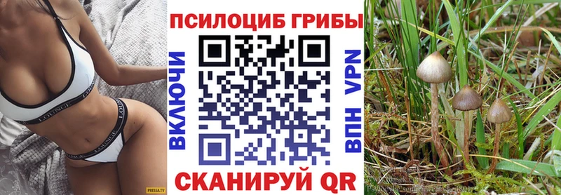 Псилоцибиновые грибы MAGIC MUSHROOMS  наркошоп  дарк нет состав  Пущино 